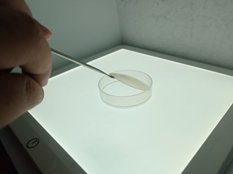 Picture6